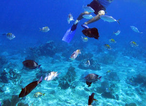 Cozumel Spa 1/1 by Tripoto