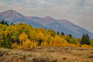 Grizzly Lake Trail 1/1 by Tripoto