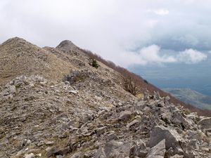 Via Manfriana 1/1 by Tripoto