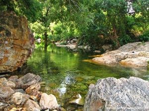 Tada Falls.... 1/2 by Tripoto