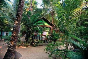 Turtle Lounge 1/1 by Tripoto