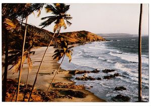 Vagator Beach 1/39 by Tripoto