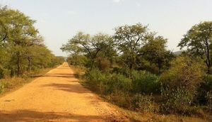 Drive Into The Sariska Jungle – Story of Pandopol temple