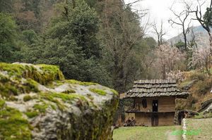 The Only Human Resident Of The Himalayan National Park Lives Without Electricity To Prove A Point
