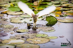 Isha Kriya And The Magic Of Dyanalinga