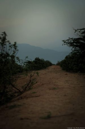 5 Things My First Trek Taught Me About Life!