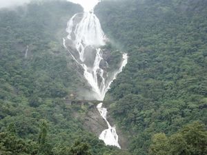 Dudh Sagar "Chennai Express" Waterfall