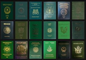 Why is the Indian passport blue?