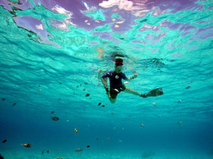 Snorkelling In India: A Know-It-All Guide To The Next Big Thing In Water Sports