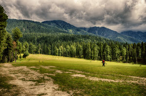 Tourist Places In India You Must Visit In June To Escape The Summer Heat