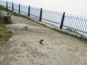 Chill Out: From Bangalore to Nandi Hills