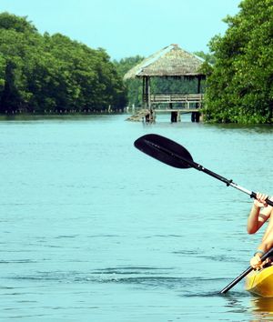 The Riverside Chill: Kampot