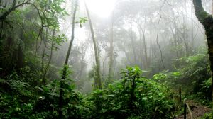Go, and trek into the Jungles from the Rudyard Kipling’s ‘Jungle Book’: Chhattisgarh Forest Trek