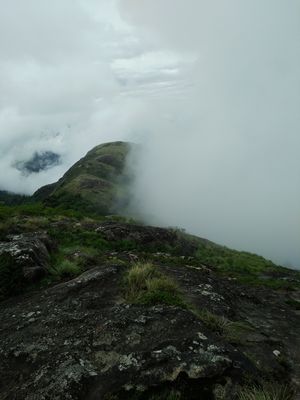 Highest peak in munnar around 7000ft!