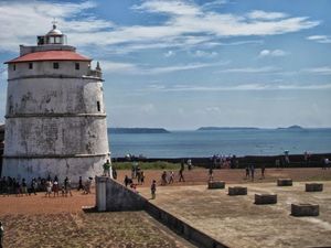 Dolphin trip and Aguada Fort