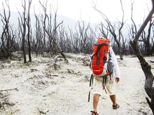 Hutan Mati 1/1 by Tripoto
