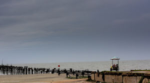 Alappuzha Beach 1/14 by Tripoto