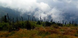 Into a land less traveled: Trekking Through Maenam Wildlife Sanctuary, Sikkim