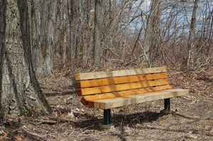 Eramosa Karst Conservation Area 1/1 by Tripoto