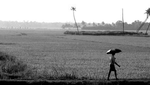 Our favourite five places to visit in Kerala, India