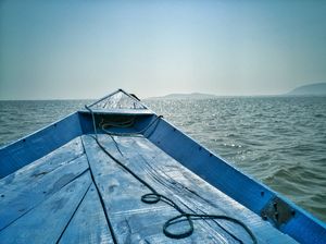 The Poignancy of Chilika