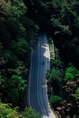 Revving into the green paradise- Wayanad