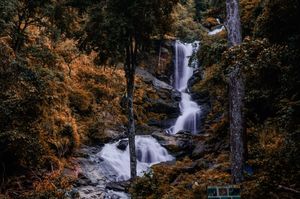 Waterfalls in Scotland of India- Madikeri