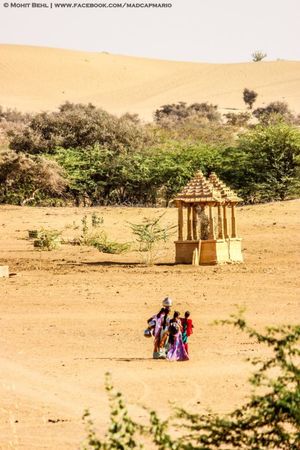 Registhan Guest House - An Oasis In The Thar