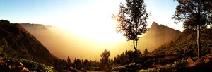munnar