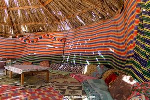Fun and Dissent in the Sinai Desert