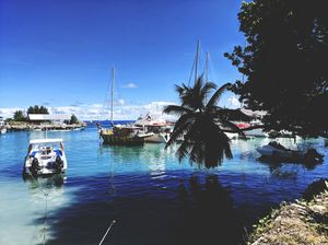 Seychelles- Experiencing luxury on a budget