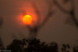 Pench Tiger Reserve - Into the wild