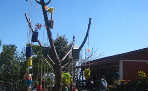 The Himalayan Village Sonapani