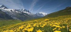 Hill Stations to Visit in East India During Summer ✈️