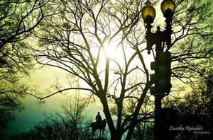 Arlington National Cemetery 1/3 by Tripoto
