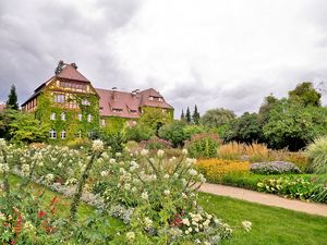 Botanical Gardens 1/2 by Tripoto