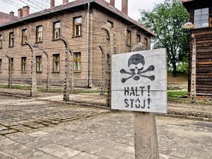Auschwitz: First Impressions