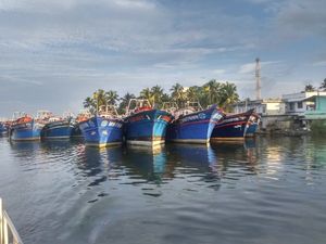 Life size art gallery: Fort Kochi