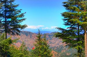 Peora: A Deep Nestled Secret of Uttarakhand