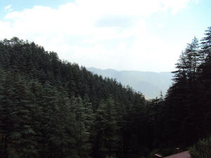Shimla - The Queen of the Hills