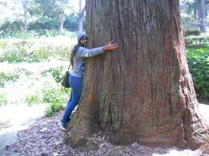 In love with ooty