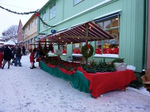 A Snowy Christmas: Estonia, Finland & Sweden
