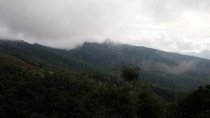 Phu Chi Fa – A well kept secret by the Thai's