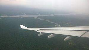 Discovering the Amazon rainforest
