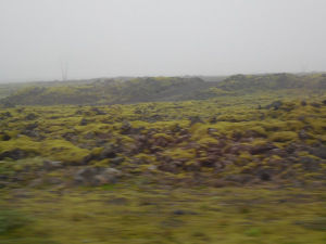 Moving Along Iceland’s Ring Road