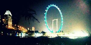 Where Merlions toe the line.