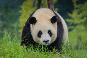 Top 5 things to do in China