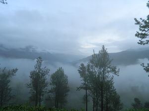 Mesmerizing ride to Munnar