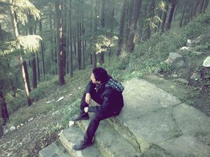 Narkanda - 40km from Shimla