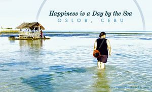 Oslob, Cebu: Swimming with the Whale Sharks